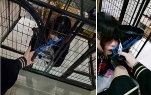 【Vinnie维妮】圈养女m卑微的日常