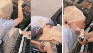【妆主大人】野外日常马凳打卡 小母狗陪遛