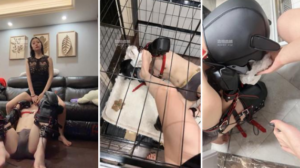 【佳禾】大型K9犬化专场-97LZTD-429866